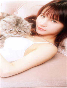 赏金猎人电视剧全集