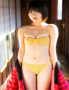 兵法乡村电视剧全集